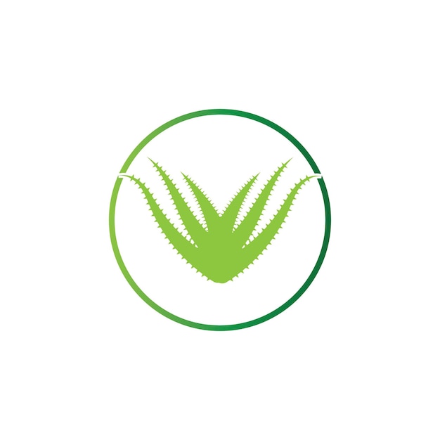 Aloe vera logo vector ilustration template