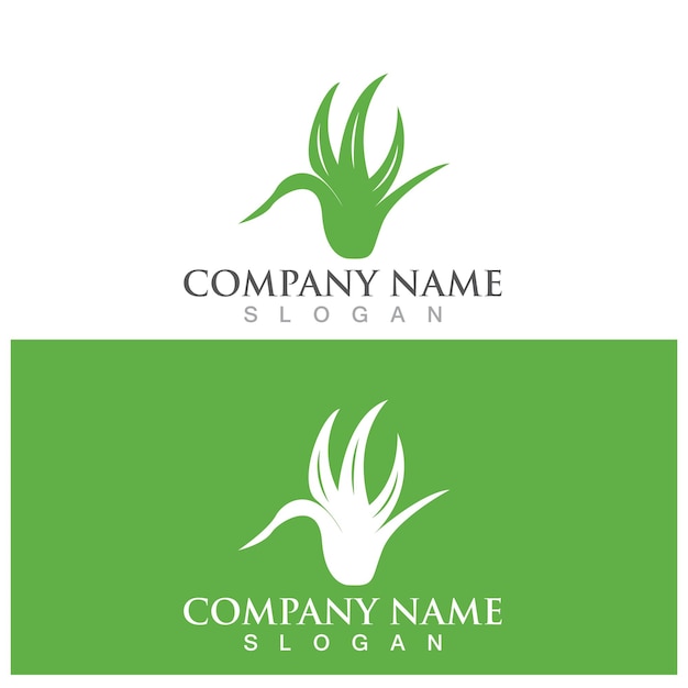 Aloe vera logo and vector template