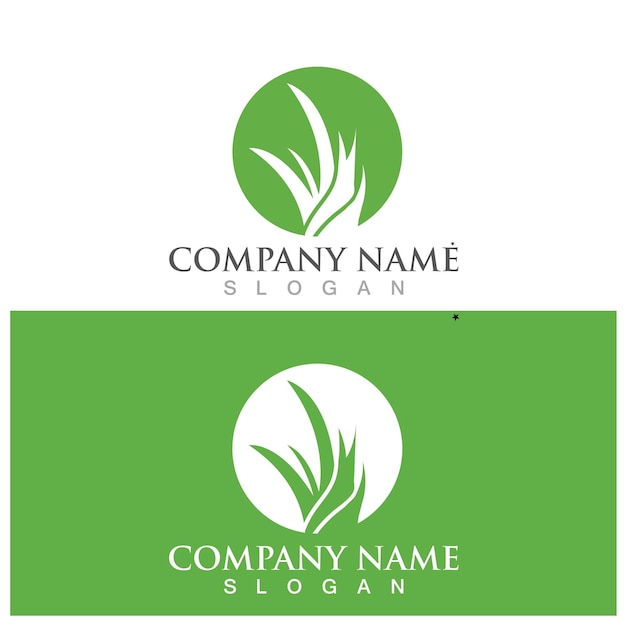 Aloe vera logo and vector template