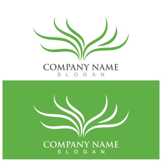 Aloe vera logo and vector template