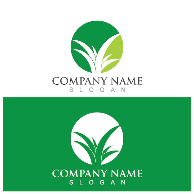 Aloe vera logo and vector template