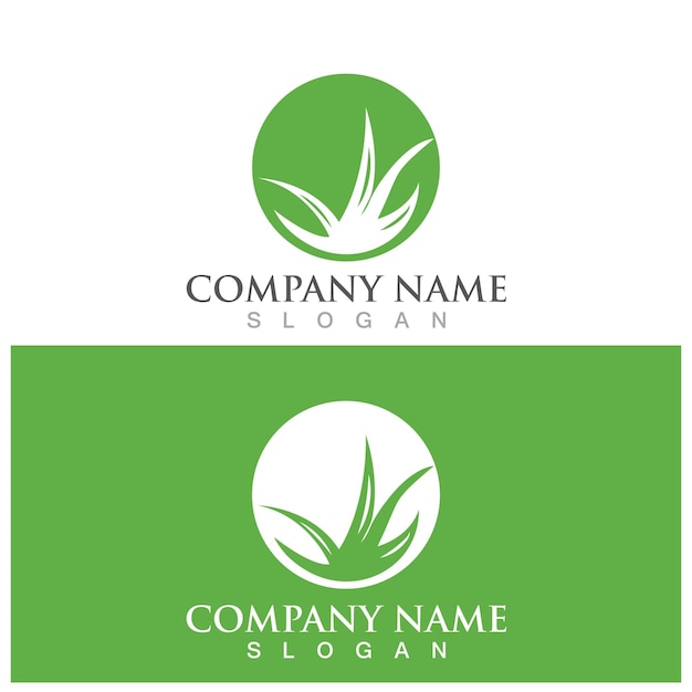 Aloe vera logo and vector template