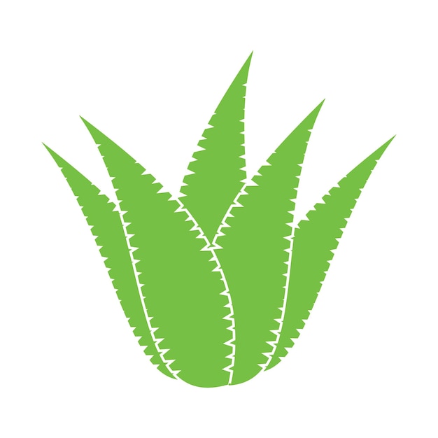 Aloe vera logo and vector template