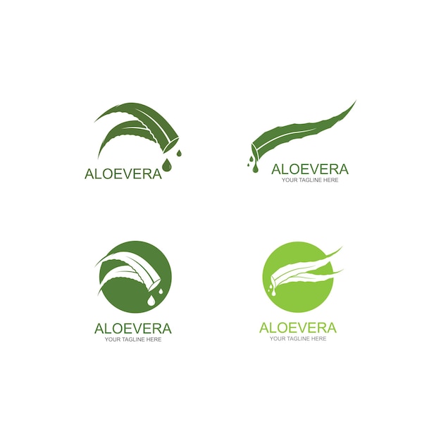 Vettore del logo dell'aloe vera