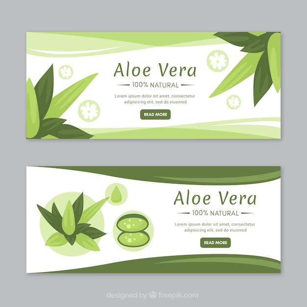 Vettore banner di medicina aloe vera