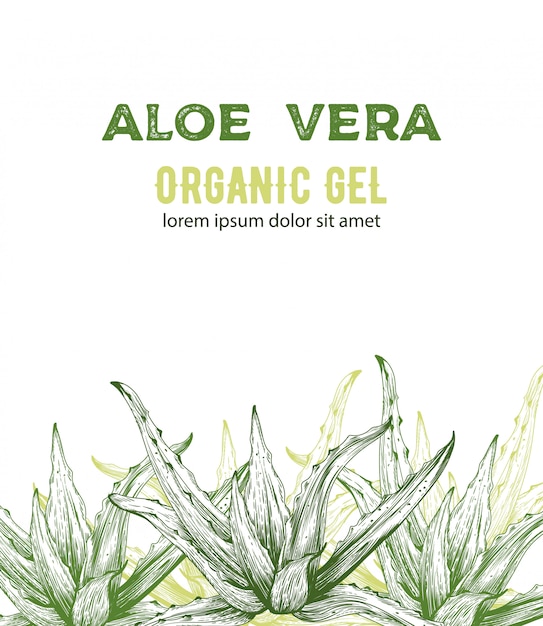 Gel organico di aloe vera con disegni in stile line art