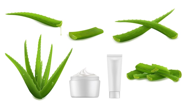 Vettore set di creme per la cura della pelle a base di piante ed estratti di aloe vera