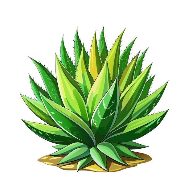 Aloe vera plant kunst getekend voor decor