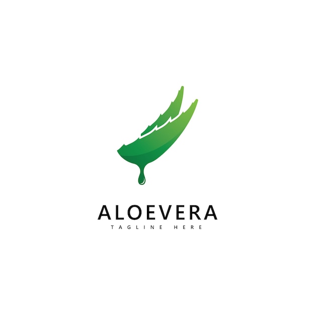 Aloe vera plant logo drop vector design. Aloe vera gel logo icon