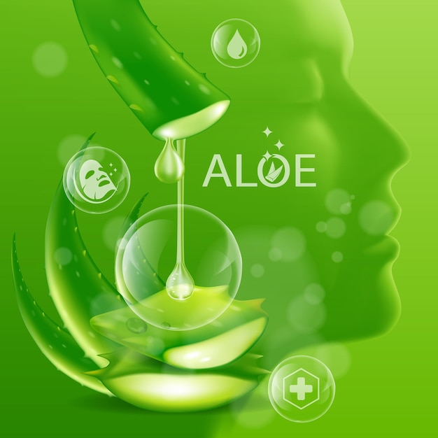 Aloe vera realistic plant skincare cosmetic