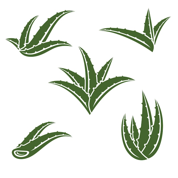 Aloe vera set collection icon aloe vera vector