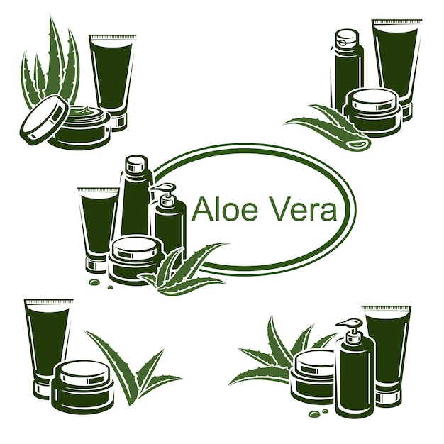 Set di aloe vera icona di raccolta aloe vera vector