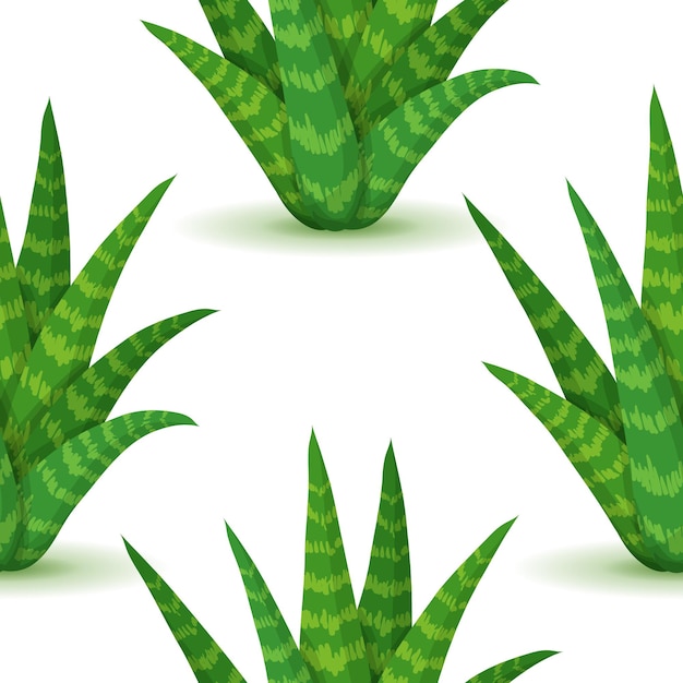 Aloe vera vector seamless pattern