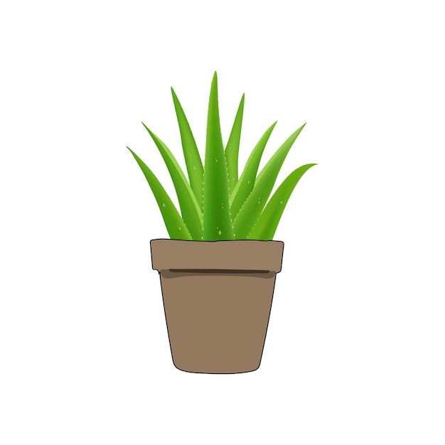 aloe vera vector type icon