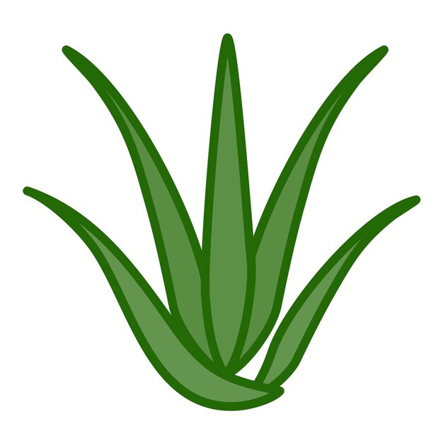 Vettore immagine vettoriale dell'icona di aloevera può essere utilizzata per spa