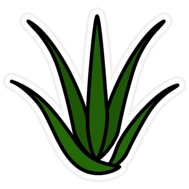 Vector aloevera icon vector image can be used for spa