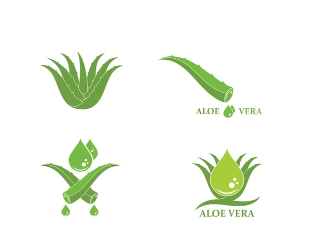 Aloevera logo icon vector illustration design template