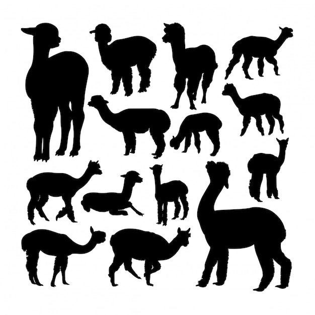 Alpaca animal silhouettes