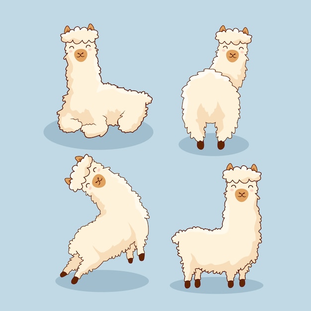 Alpaca cartoon llama set