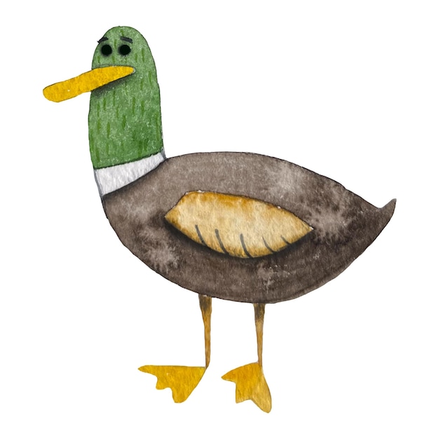 Alphabet animal duck watercolor