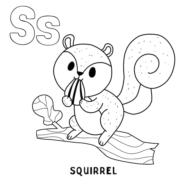 Alphabet animal squirrel for coloring with word hand drawn letter animal cartoon