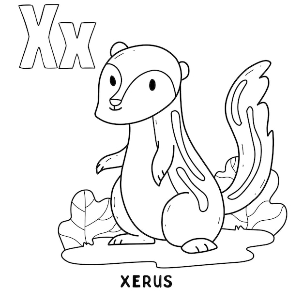 Alphabet animal xerus for coloring with word hand drawn letter animal cartoon