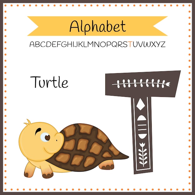 Alphabet of animals t for turtle vector illustration of happy turtle cute cartoon isolated