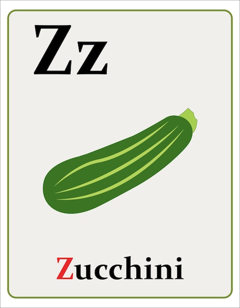 Alphabet flashcard with letter z for zucchini