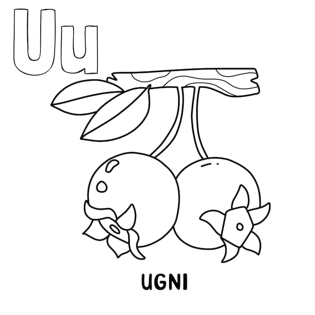 Alphabet fruit ugni for coloring with word hand drawn letter fruit cartoon