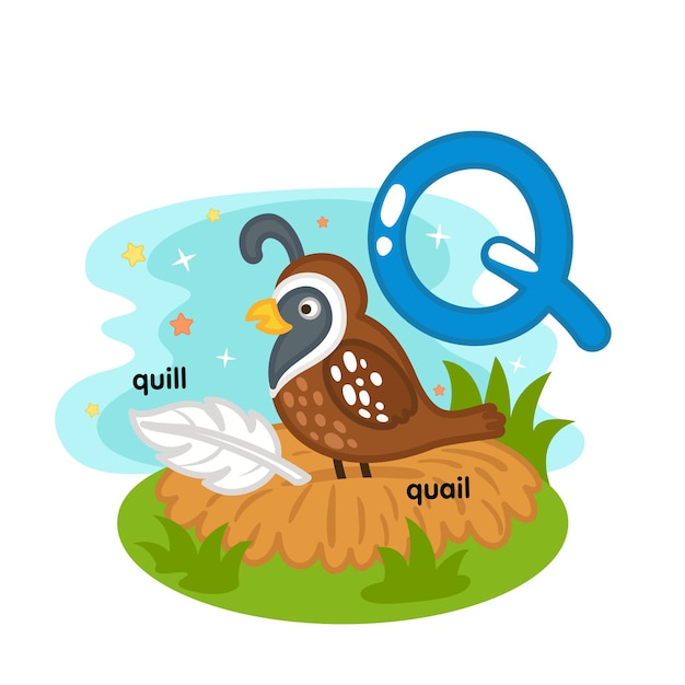 Алфавит Изолированная буква Q-quill-quail иллюстрация, вектор