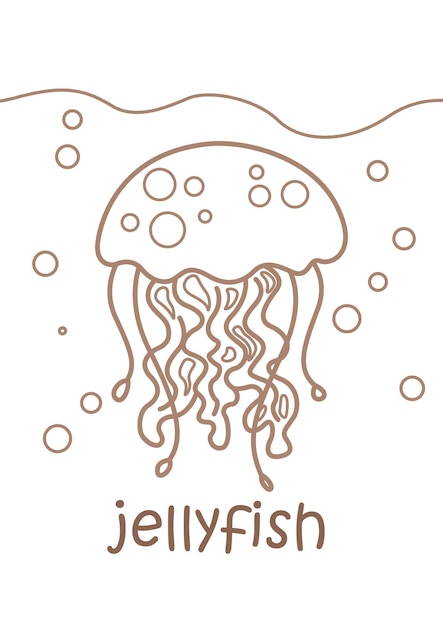 Alphabet J For Jellyfish  Vocabulary Coloring Pages for Kids and Adult