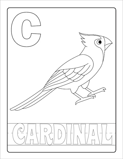 Alphabet learning with birds and name coloring page