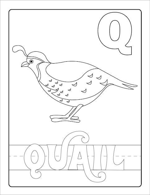 鳥と名前の着色のページでアルファベットを学ぶ