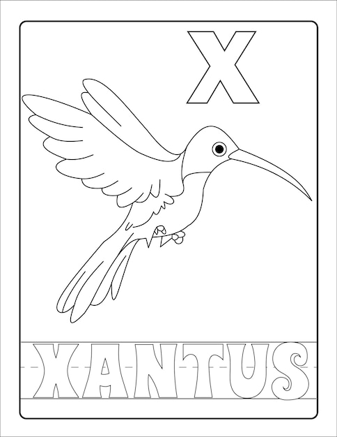 Alphabet learning with birds and name coloring page