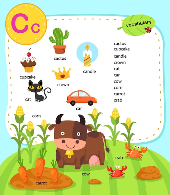 Alphabet letter c education vocabulary illustration vector