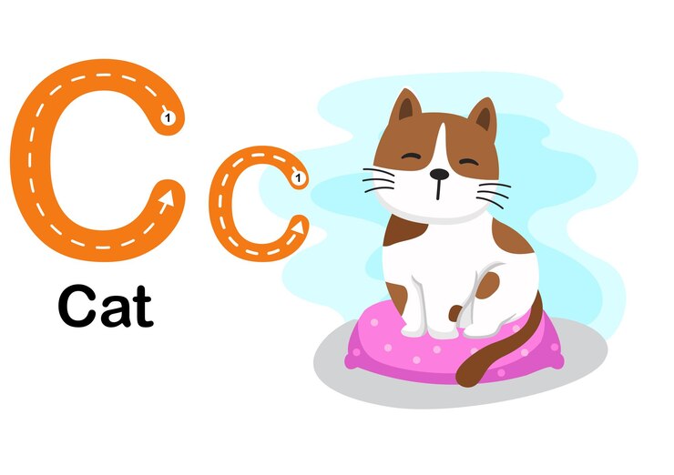 Vector alphabet letter ccat with cartoon vocabulary illustration vector