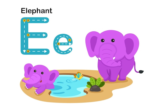 Алфавитная буква EElephant с вектором иллюстраций словарного запаса мультфильмов