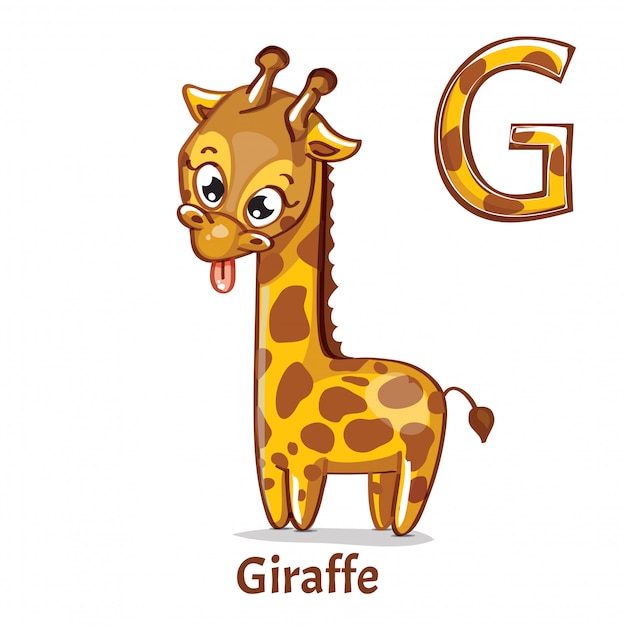 Alphabet, letter G of Giraffe