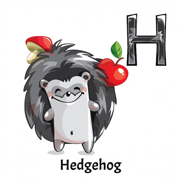 Alphabet, letter H of Hedgehog