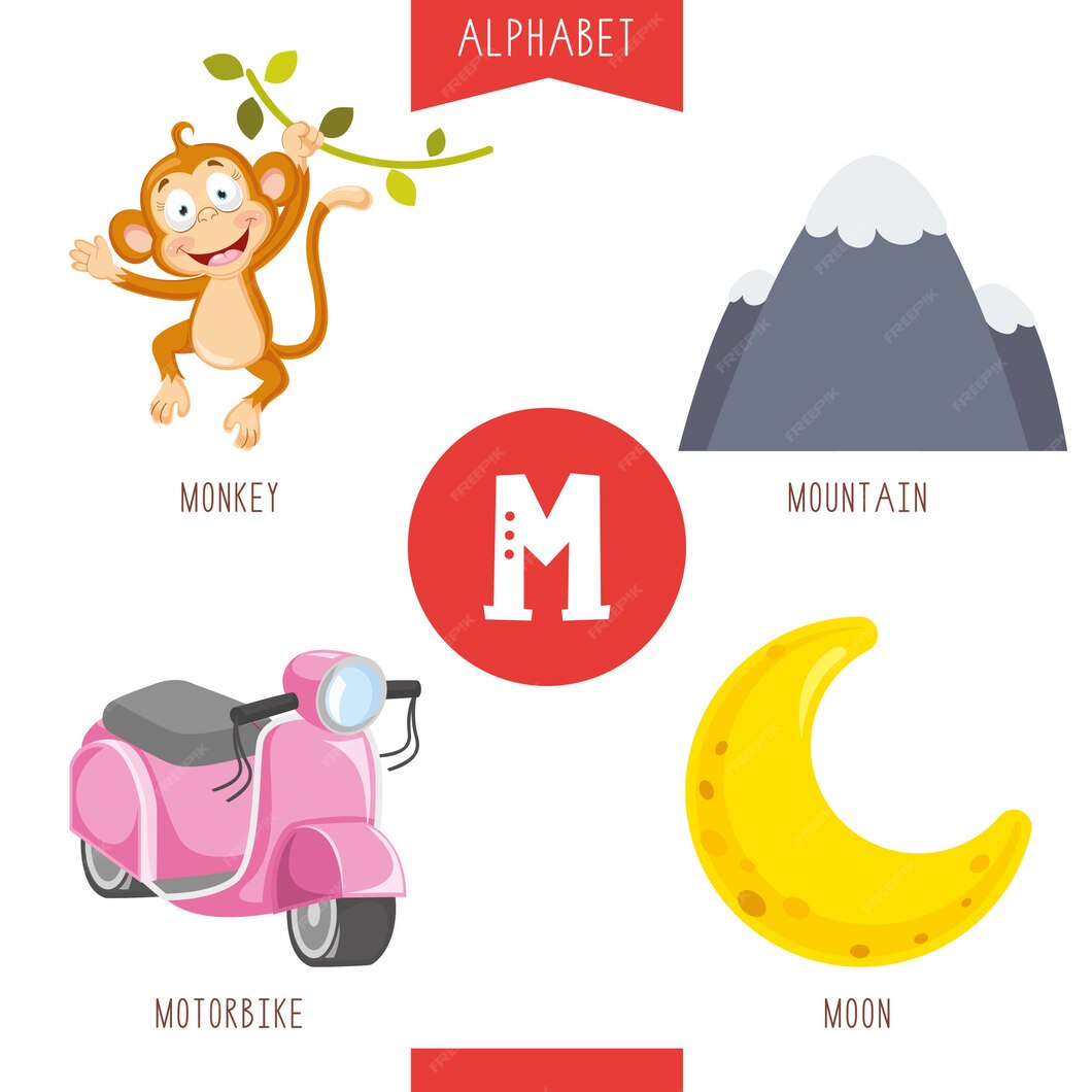 Premium Vector | Alphabet letter m and pictures