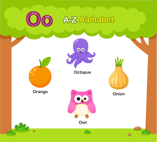 Vector alphabet letter o education vocabulary illustration vector