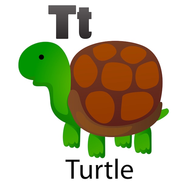 Alphabet letter t-turtle