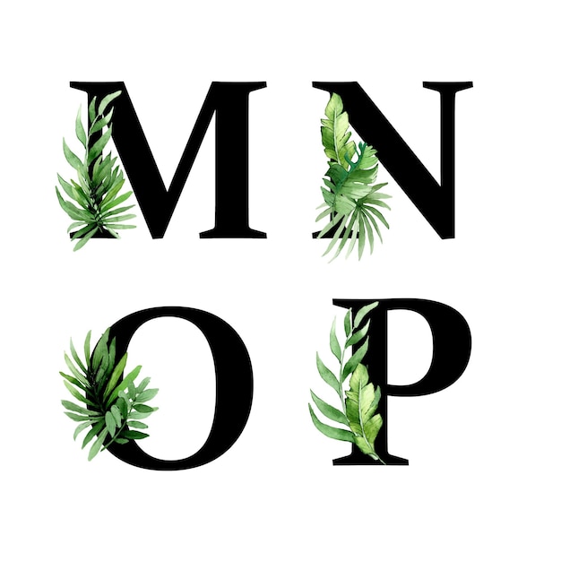 Буквы алфавита с тропическими зелеными листьями