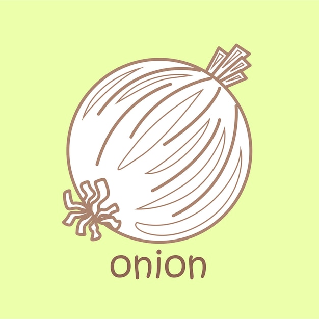 Alphabet O For Onion Vocabulary School Lesson Digital Stamp