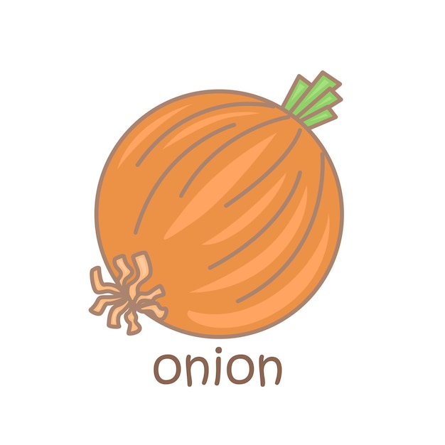 Alphabet O For Onion Vocabulary School Lesson Illustration Vector Clipart Cartoon