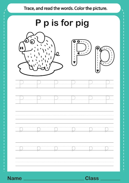 Alphabet p exercise with cartoon vocabulary for coloring book illustration vector