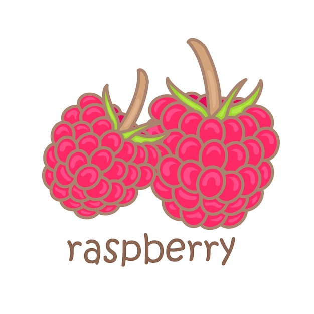 alphabet r for raspbery vocabulary reading cartoon school lesson illustration vector clipart