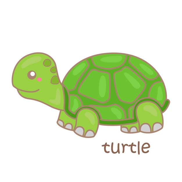 Alphabet T For Turtle Vocabulary School Student Lesson Reading Cartoon Illustration Vector Clipart