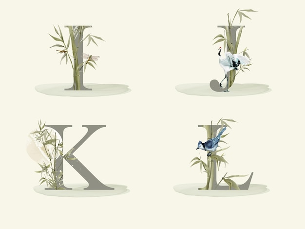 alphabet with bamboo hand drawn isolated