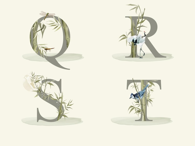 Alphabet with bamboo hand drawn isolated